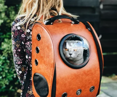 Pets Care - Basic Guide
