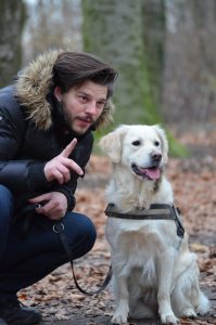 A man interacts with a Golden Retriever dog in a vibrant, autumn forest setting.